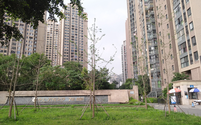 中大君悅金沙新房除甲醛