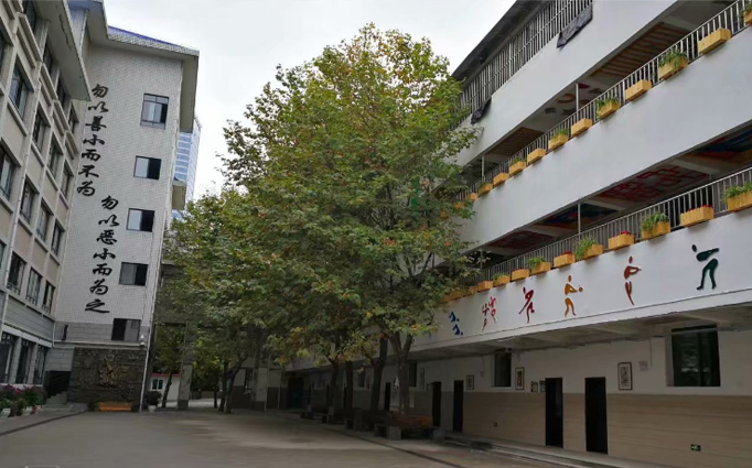 貴陽(yáng)市實(shí)驗(yàn)小學(xué) 除甲醛 